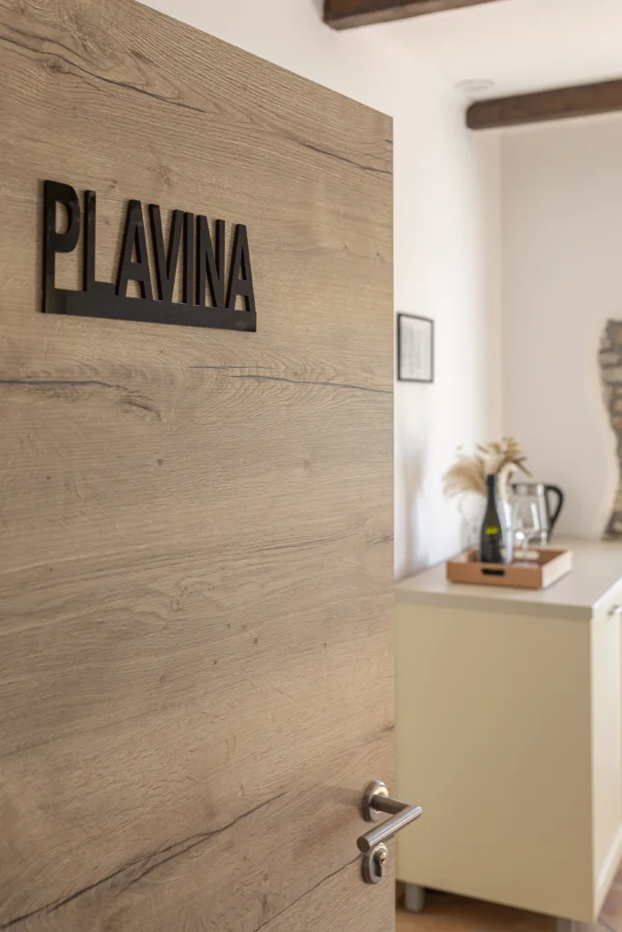 Soba Plavina - vhodna vrata